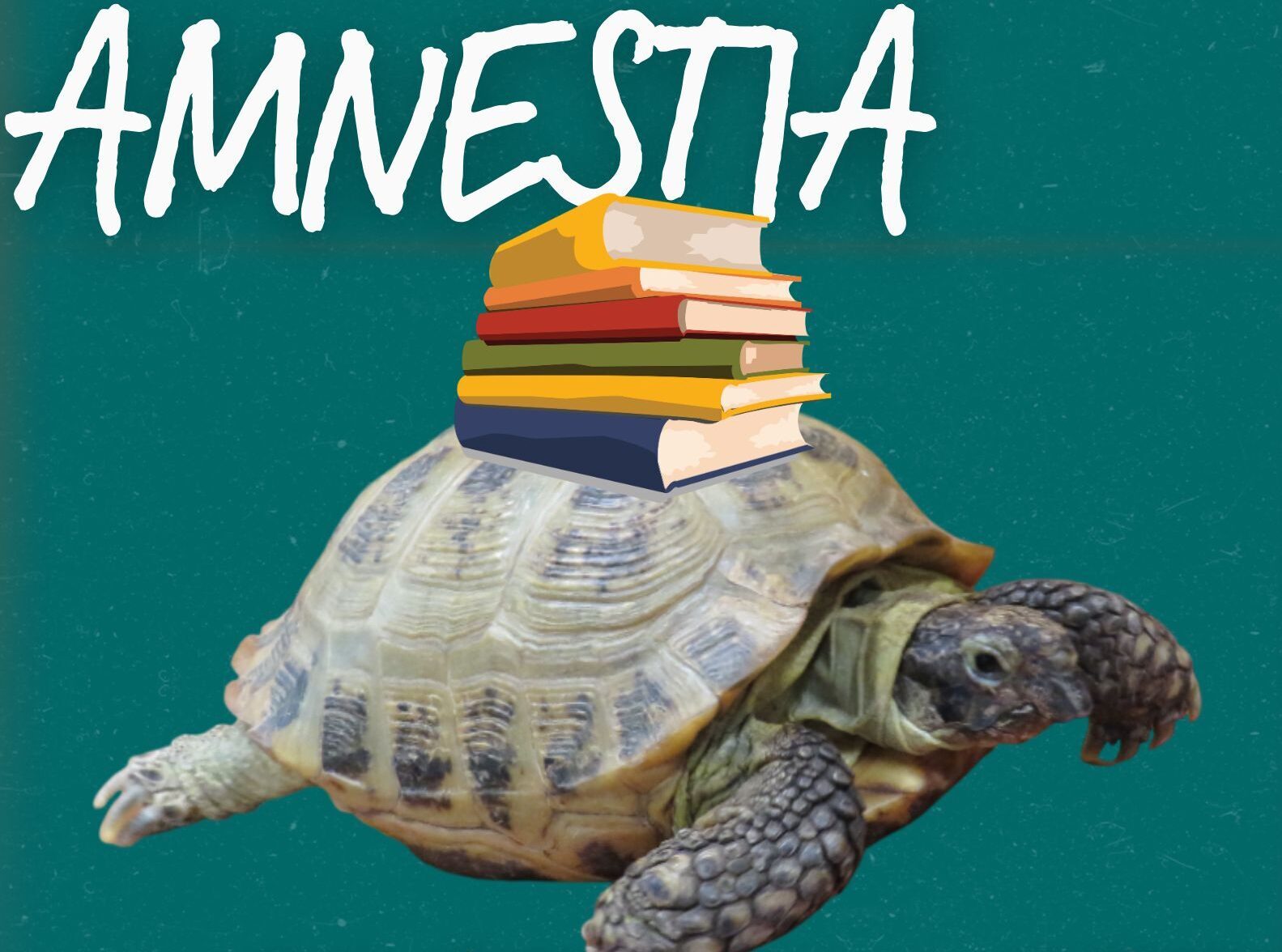 Amnestia biblioteczna