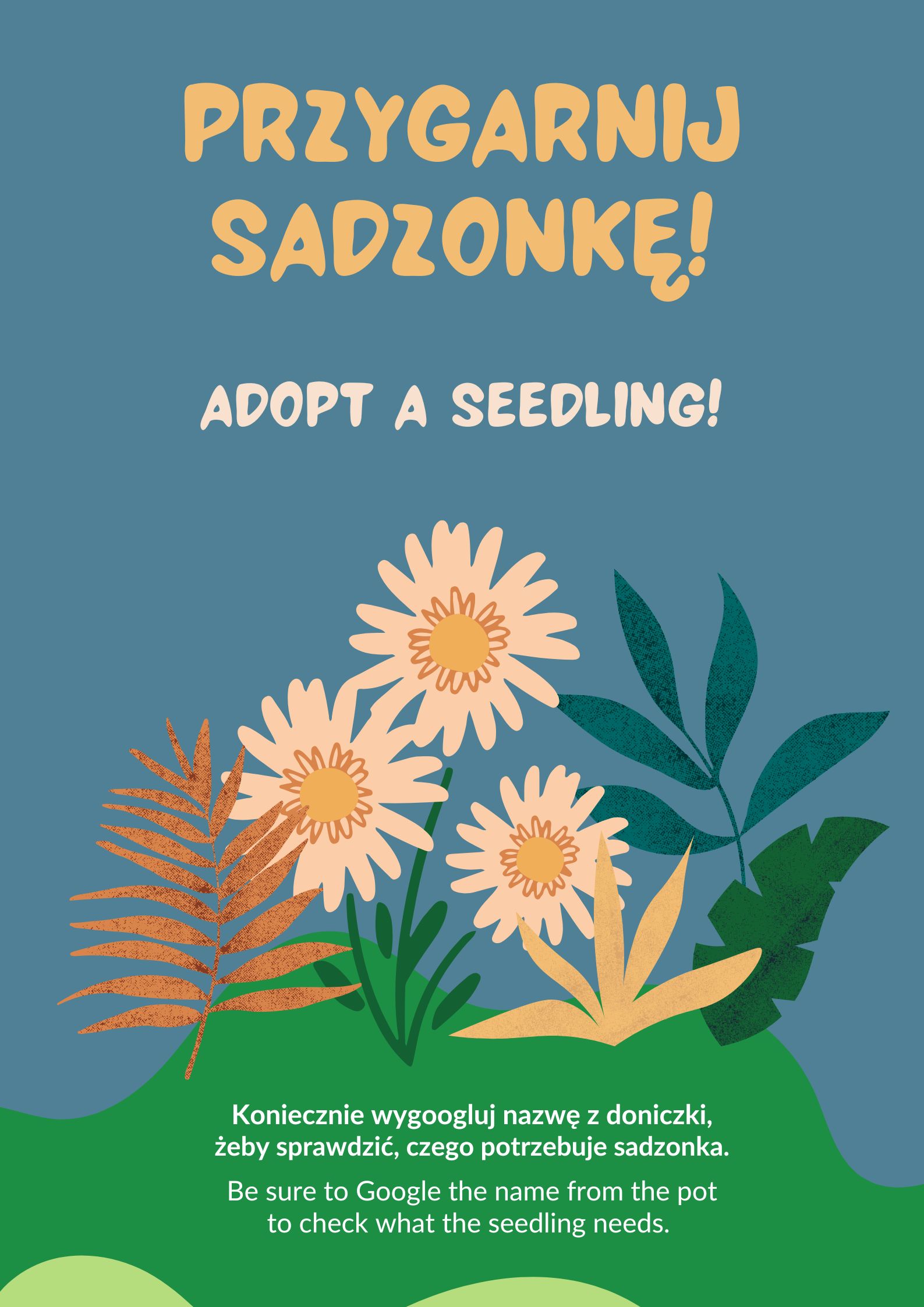 Sadzonki – edycja IV